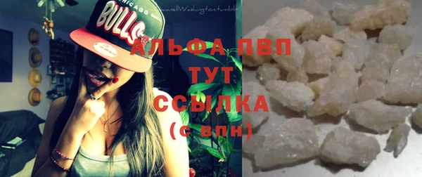 гашик Зеленокумск