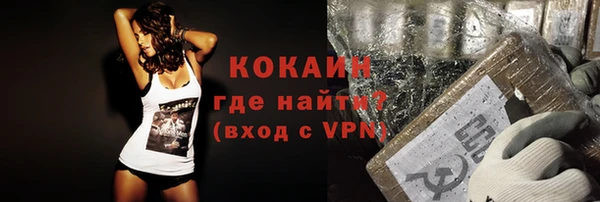 гашик Зеленокумск