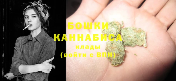 гашик Зеленокумск