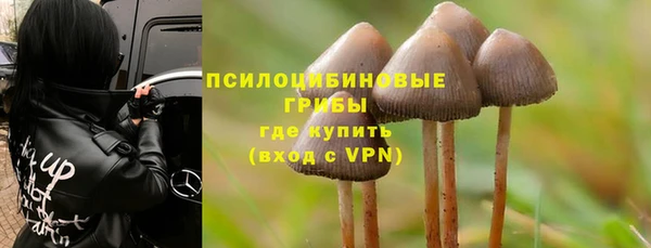 гашик Зеленокумск