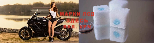 гашик Зеленокумск