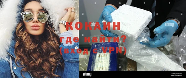 индика Заводоуковск