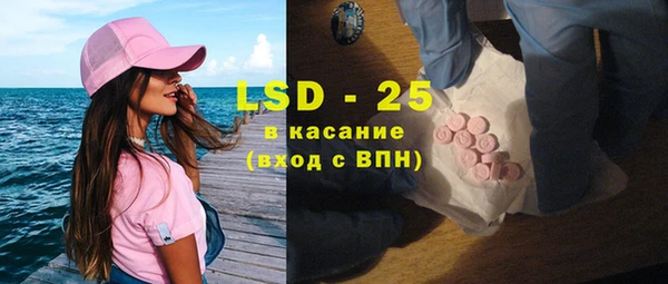 гашик Зеленокумск