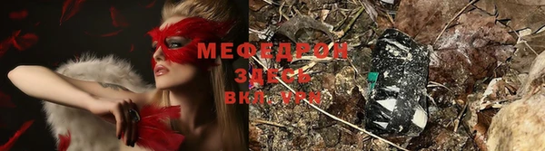 гашик Зеленокумск