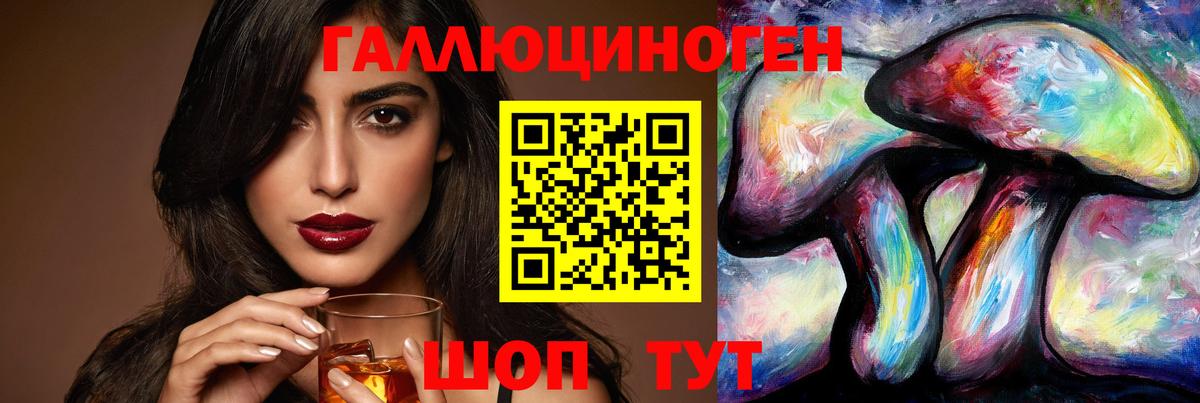 Михайловск  Псилоцибиновые грибы Psilocybe  Вход с VPN 